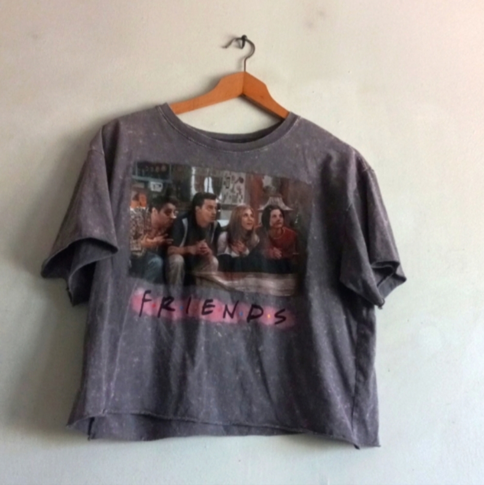 Friends Cropped Short Sleeve Top Size Large